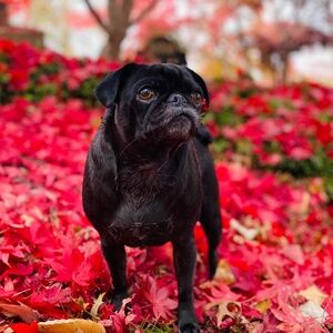 Meet your Posher, Tina